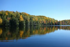 trees on calm body of water under clear blue sky at daytime jigsaw puzzle