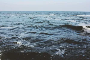 calm body of water under blue sky during daytime jigsaw puzzle