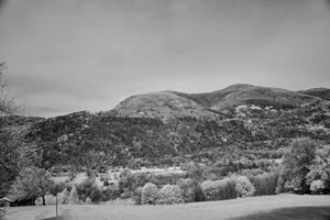Rolling hills with trees and a distant mountain. jigsaw puzzle