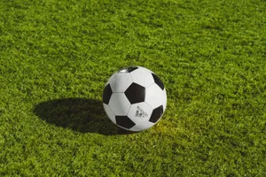white and black soccer ball on grass field jigsaw puzzle