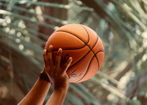 a person holding a basketball up in the air jigsaw puzzle