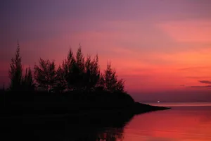 Beautiful sunset with silhouetted trees reflecting on calm water, creating a serene scene. jigsaw puzzle