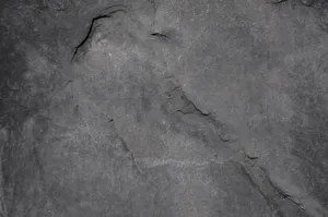 Close-up of a textured gray stone surface, highlighting natural patterns and details. jigsaw puzzle