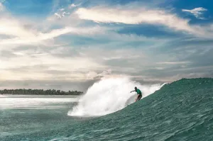 surfer jigsaw puzzle