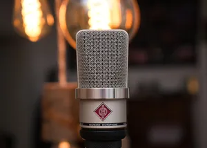 microphone jigsaw puzzle
