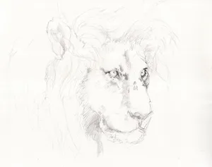 lion jigsaw puzzle
