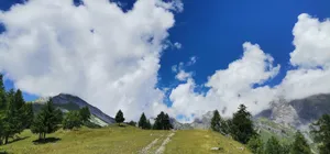 a landscape with trees and mountains jigsaw puzzle