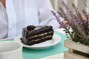 a piece of chocolate cake on a white plate jigsaw puzzle