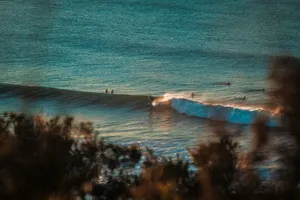 photo of people on shore jigsaw puzzle