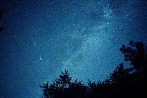 Captivating starry night sky featuring the Milky Way and silhouette of trees. jigsaw puzzle