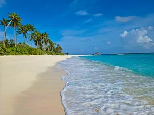 Experience the tranquil beauty of a pristine beach in the Maldives with clear blue waters and lush palm trees. jigsaw puzzle