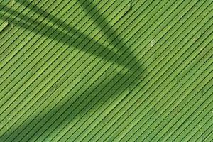 Green wooden slats with diagonal shadow patterns creating a dynamic abstract composition. jigsaw puzzle