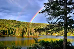rainbow jigsaw puzzle