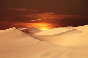 desert jigsaw puzzle