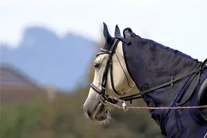 horse jigsaw puzzle