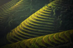 rice terraces jigsaw puzzle