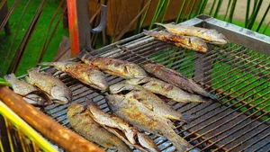 fish jigsaw puzzle