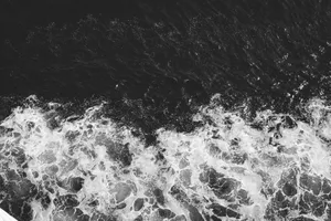 water splash on black and white jigsaw puzzle