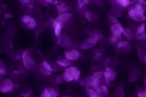 purple flowers jigsaw puzzle