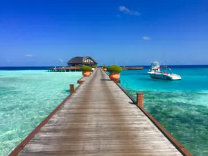 brown wooden dock beside white motor boat jigsaw puzzle