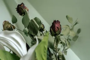 Low angle bunch of dried fragile roses arranged in bouquet with white flower jigsaw puzzle