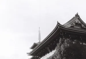 Black and white photo of traditional Japanese temple roof and pagoda, serene and artistic. jigsaw puzzle