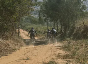 Group of cyclists biking on a scenic dirt trail surrounded by trees and nature. jigsaw puzzle