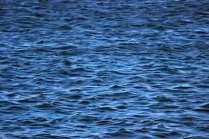 Calm ocean surface with gentle waves showcasing blue water texture. jigsaw puzzle