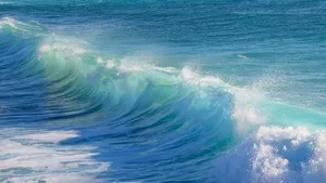 surf jigsaw puzzle