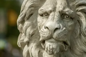 lion jigsaw puzzle