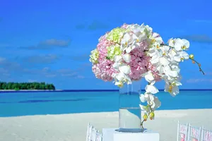 atoll jigsaw puzzle