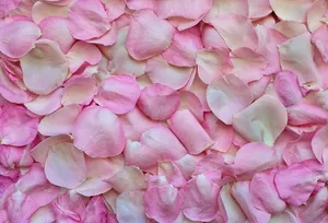 rose petals jigsaw puzzle