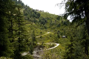 a winding road in the middle of a lush green hillside jigsaw puzzle