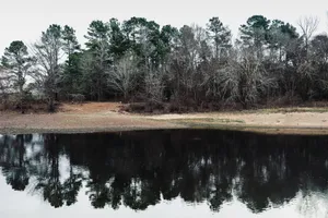 a body of water surrounded by trees and grass jigsaw puzzle