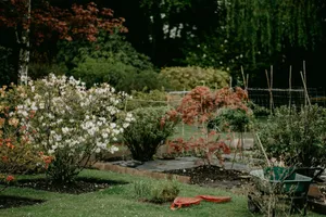 green and yellow plants on garden during daytime jigsaw puzzle
