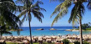 people on beach during daytime jigsaw puzzle