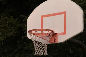 white and red basketball hoop jigsaw puzzle