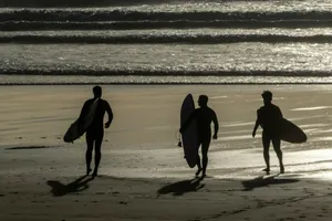 three person carrying surfboards jigsaw puzzle