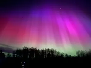 Stunning aurora borealis in vibrant colors illuminating a winter night sky above silhouetted trees. jigsaw puzzle