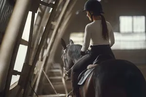 A female equestrian riding a horse indoors, focusing on dressage training. jigsaw puzzle