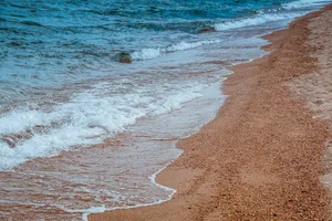 tide jigsaw puzzle
