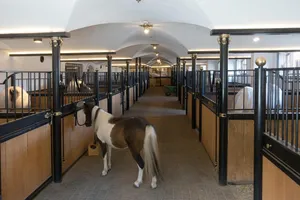 barn jigsaw puzzle