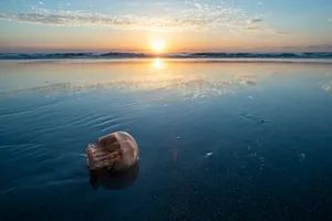 a message in a bottle on the beach at sunset jigsaw puzzle