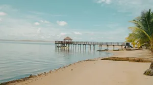 Wooden pier extending into calm ocean water with palm trees jigsaw puzzle