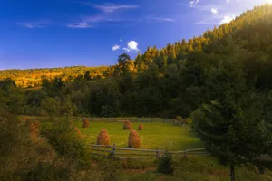 a field with hay bales in the middle of it jigsaw puzzle