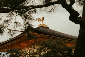 a bird on top of a roof with lights jigsaw puzzle