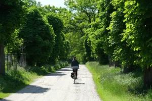 man in black jacket riding bicycle on gray asphalt road during daytime jigsaw puzzle