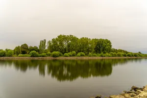 Tranquil river scene with lush trees reflecting on calm water under a cloudy sky. jigsaw puzzle