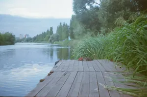 Tranquil river scene with lush greenery and a wooden jetty at dawn. jigsaw puzzle