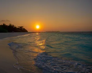A breathtaking view of the sunset over a tropical beach with gentle waves crashing on the shore. jigsaw puzzle